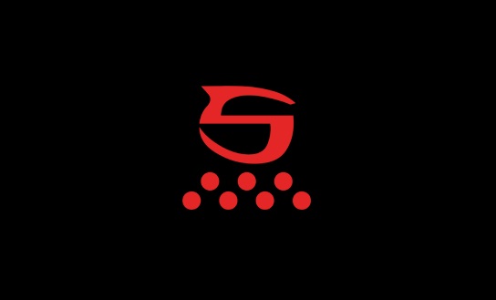 Stigma Rotary Dövme Makinesi Logo